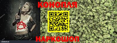 крисы Бузулук